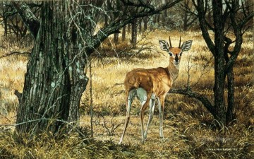 鹿 Painting - スティーンボック・ラム